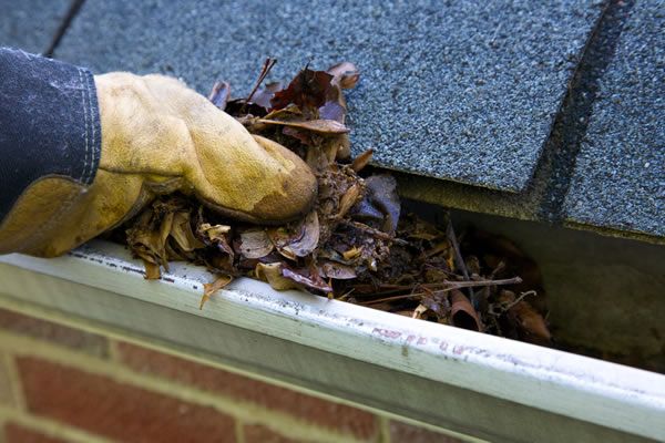 gutter cleaning Clarksville TN, Fort Campbell KY