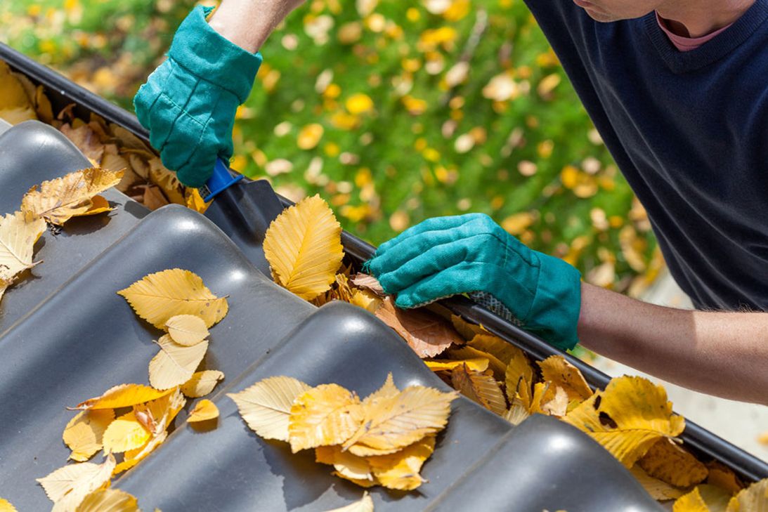 Clarksville basic maintainance-gutter cleaning