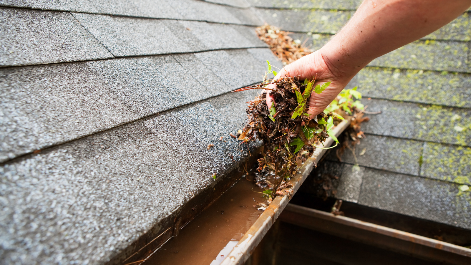 Clarksville basic maintainance-gutter cleaning