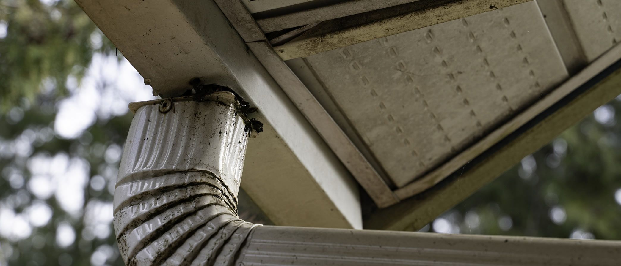 Gutter Cleaning Hopkinsville, KY